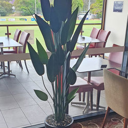 Bird of Paradise Plant 1.4m - artificial plants, flowers & trees - image 5