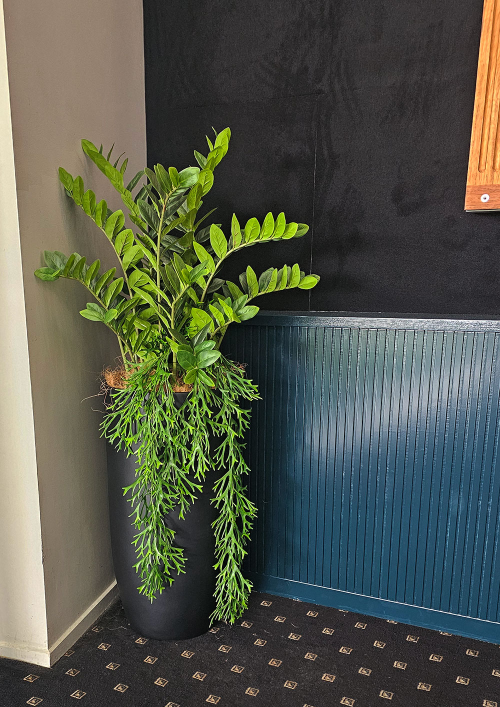 Zanzibar Gem Plant 90cm