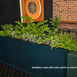 Zanzibar Gem Plant 90cm - artificial plants, flowers & trees - image 6