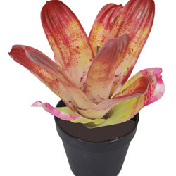 Bromeliad- dark green in plastic pot  - artificial plants, flowers & trees - image 4
