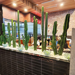 Cactii- Column Cactus 1.45m - artificial plants, flowers & trees - image 4