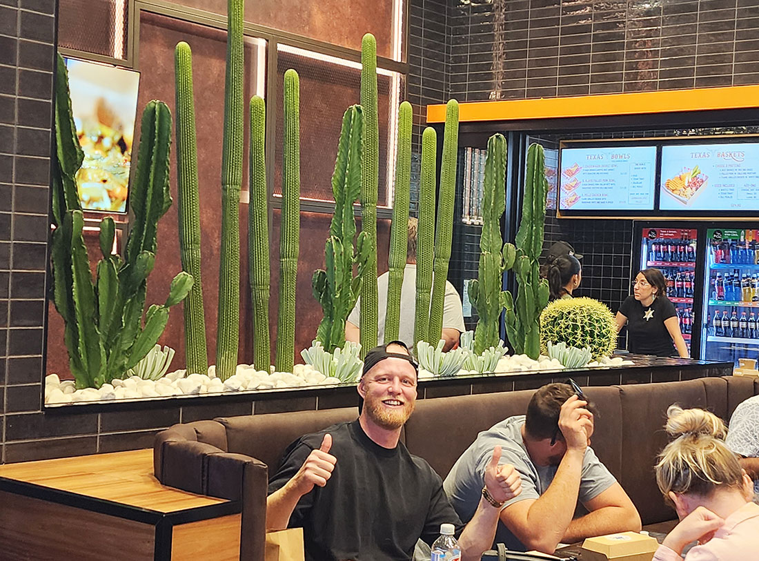 Cactii- Column Cactus 1.45m