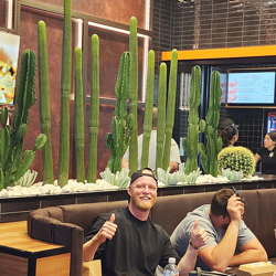 Cactii- Column Cactus 1.45m - artificial plants, flowers & trees - image 3