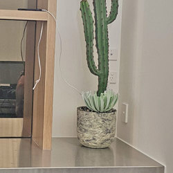 Cactii- Candelebra Cactus 1.3m - artificial plants, flowers & trees - image 2