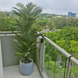Cane Palm 1.8m deluxe*     UV-stable *extra bushy - artificial plants, flowers & trees - image 2