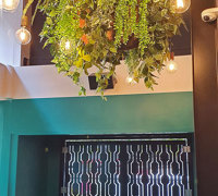 New Cuban Nite-Club also has a green theme...