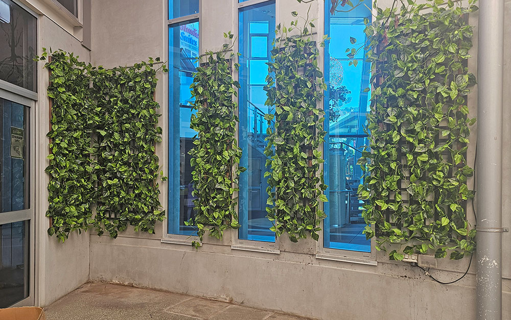 Trailing Vines - 1.8m Pothos Garland