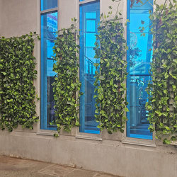 Trailing Vines - 1.8m Pothos Garland - artificial plants, flowers & trees - image 5