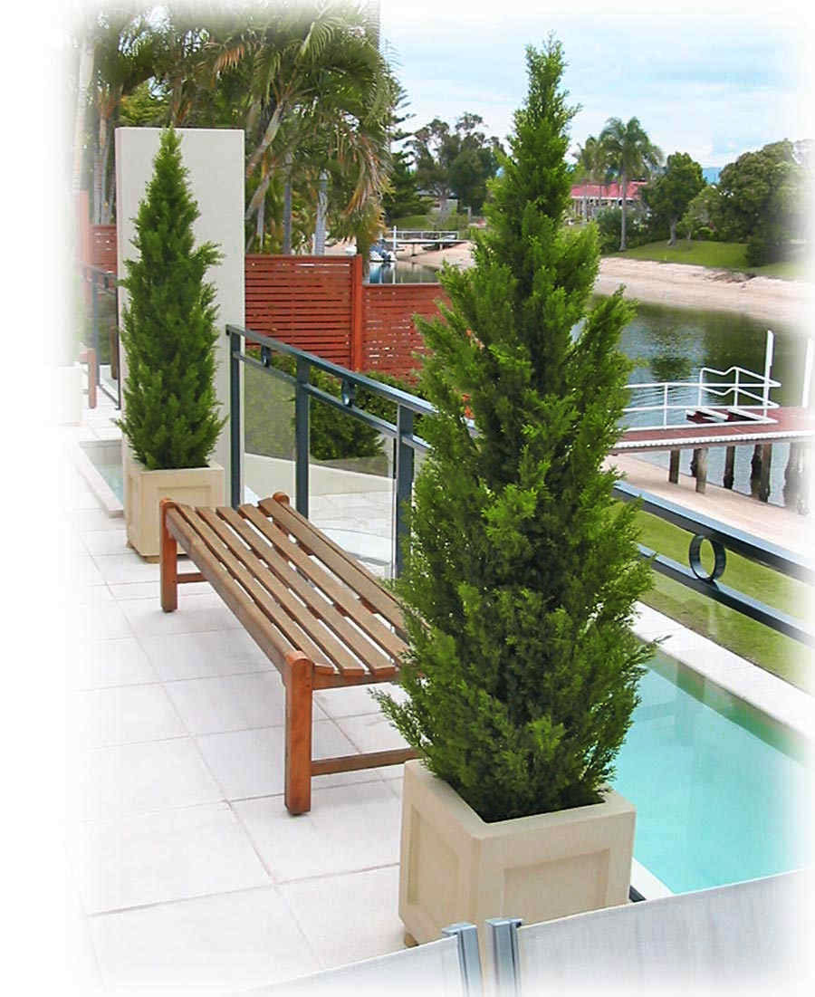 Cypress Pine UV 1.8m 
