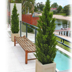 Cypress Pine UV 1.8m  - artificial plants, flowers & trees - image 1