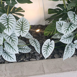 Anthurium 'white-tiger' - artificial plants, flowers & trees - image 2
