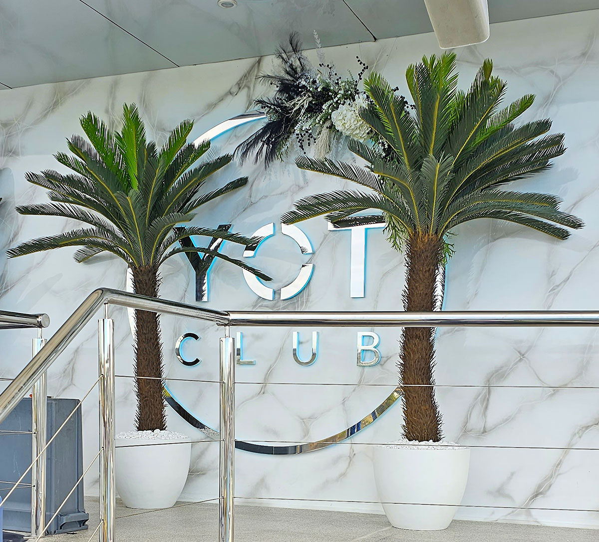 Cycad Palm 2m