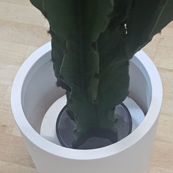 Planters- Cylinder Pot lge -black - artificial plants, flowers & trees - image 2