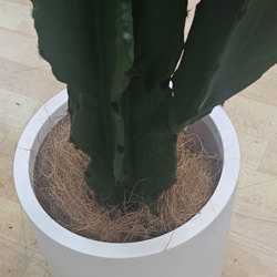 Planters- Cylinder Pot lge -black - artificial plants, flowers & trees - image 3