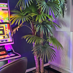 Fan Palm 2.4m [lge foliage] - artificial plants, flowers & trees - image 1