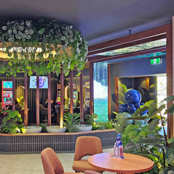 Bushes...sml trailers- Maranta 'silver-prayer' Plant - artificial plants, flowers & trees - image 3