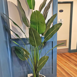 Heliconia Palms- 1.8m - artificial plants, flowers & trees - image 4