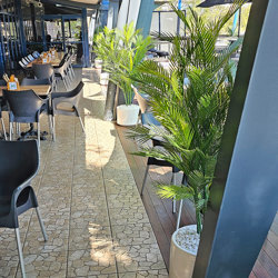 Parlour Palm UV 1.3m - artificial plants, flowers & trees - image 3