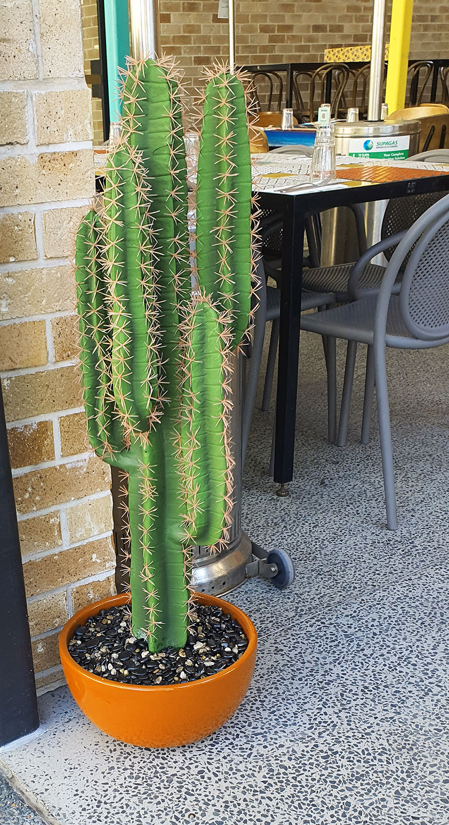 Cactii- Desert Cactus 1.1m