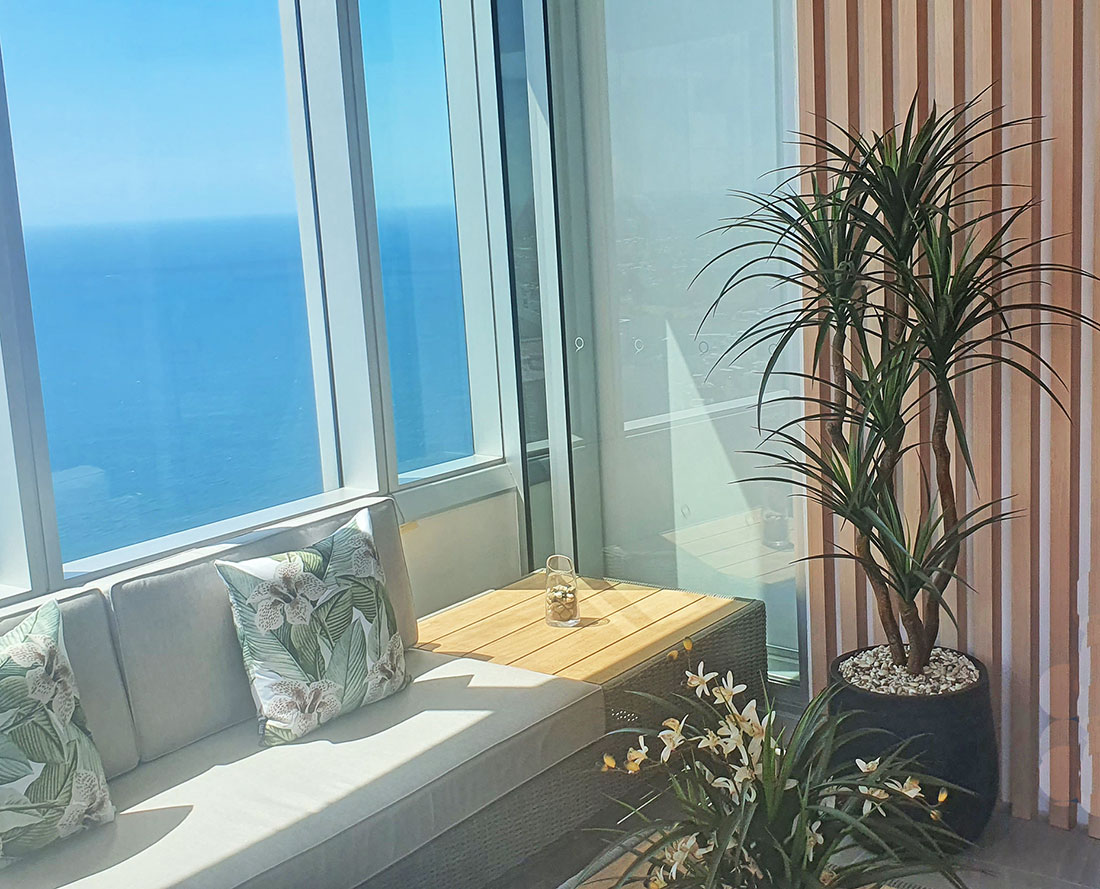 Dracaena- mini-yucca 1.5m with 6 heads