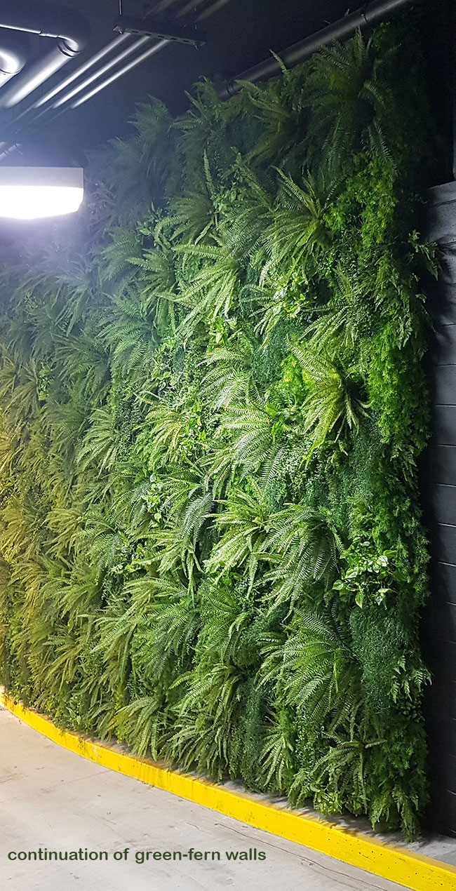 Before & After Shots..... Green-Walls 5