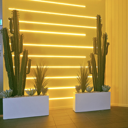 Cactii- Arizona Cactus 2m triple-stem - artificial plants, flowers & trees - image 4