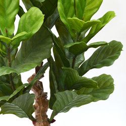 Fiddle-Leaf Ficus 1.1m UV - artificial plants, flowers & trees - image 2