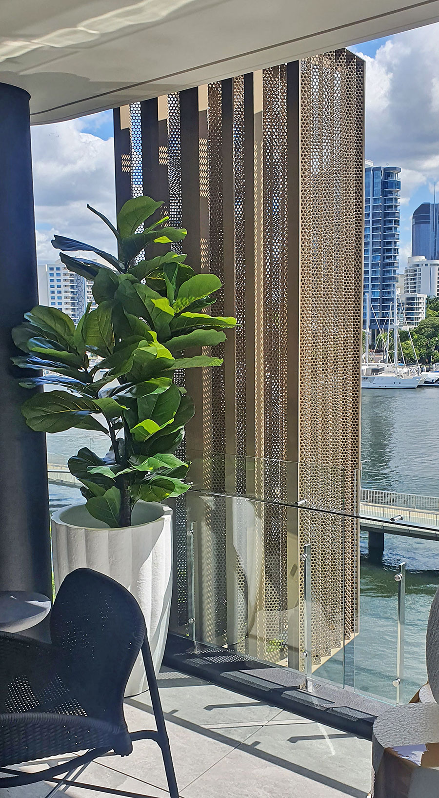 Fiddle-Leaf Ficus 'giant-leaf' 1.9m (deluxe)