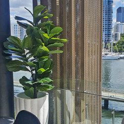 Fiddle-Leaf Ficus 'giant-leaf' 1.9m (deluxe) - artificial plants, flowers & trees - image 3