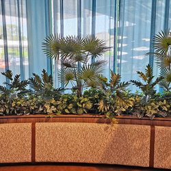 Fountain Palm 1.1m - artificial plants, flowers & trees - image 3