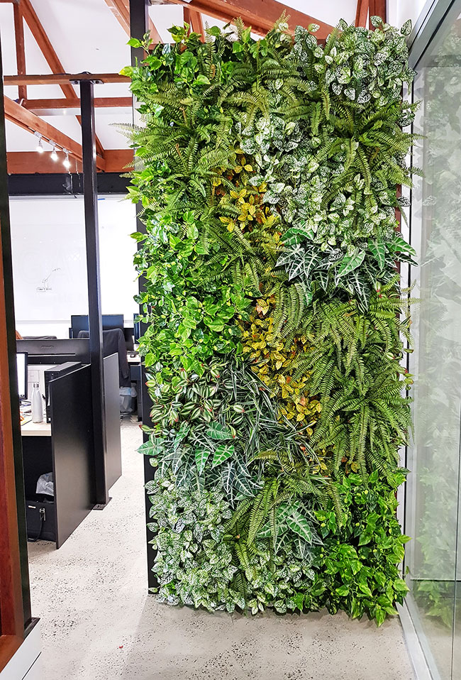 Before & After Shots..... Green-Walls 5