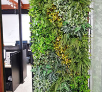 Before & After Shots..... Green-Walls 5