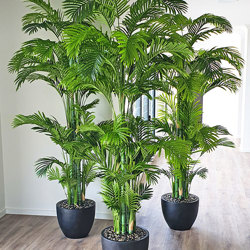 Golden Cane Palm 1.8m - artificial plants, flowers & trees - image 8