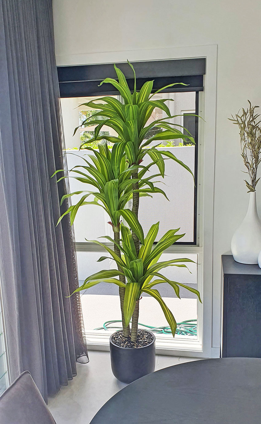 Happy Plant 1.9m triple