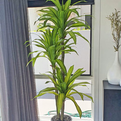 Happy Plant 1.9m triple - artificial plants, flowers & trees - image 7