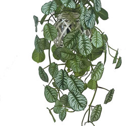 Hanging Cane Lantern- Monstera med - artificial plants, flowers & trees - image 5