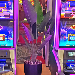 Heliconia Palms- 1.2m small - artificial plants, flowers & trees - image 3