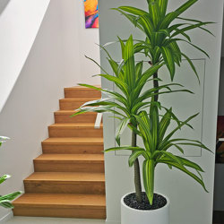 Happy Plant 1.9m triple - artificial plants, flowers & trees - image 1