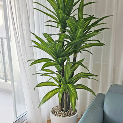 Happy Plant 1.9m triple - artificial plants, flowers & trees - image 2