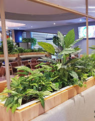 Indoor Artificial Bushes, Trailers & Flowers