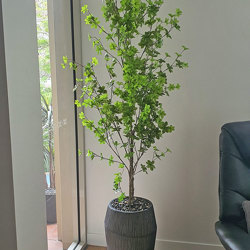 Japanese Azalea [enkianthus] 1.9m deluxe - artificial plants, flowers & trees - image 3
