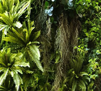 Moss/Green-Wall fusion is the latest direction...