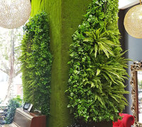 Moss/Green-Wall fusion is the latest direction...