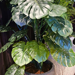 Swiss Cheese Plant [Monstera] 1.7m - artificial plants, flowers & trees - image 2
