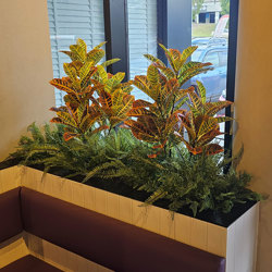 Croton 1.5m - artificial plants, flowers & trees - image 1