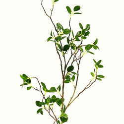Lilly Pilly 1.7m  - artificial plants, flowers & trees - image 1