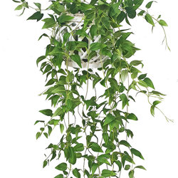 Hanging Cane Lantern- Monstera med - artificial plants, flowers & trees - image 6