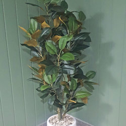 Magnolia  'little gem' 1.6m deluxe - artificial plants, flowers & trees - image 1