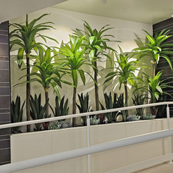 Happy Plant 1.5m double - artificial plants, flowers & trees - image 2