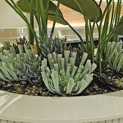 Succulent- Purple Echeveria - artificial plants, flowers & trees - image 3